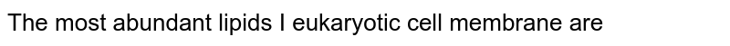 The most abundant lipids I eukaryotic cell membrane are