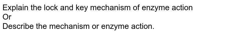 Explain the lock and key mechanism of enzyme action Or Describe the mechanism or enzyme action.