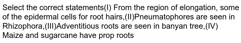 Select the correct statements(I) From the region of elongation, some of the epidermal cells for root hairs,(II)Pneumatophores are seen in Rhizophora,(III)Adventitious roots are seen in banyan tree,(IV) Maize and sugarcane have prop roots