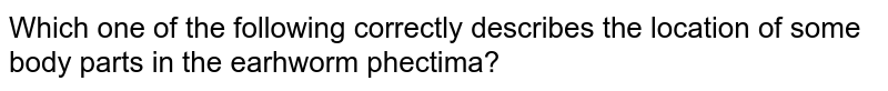 Which one of the following correctly describes the location of some body parts in the earhworm phectima?