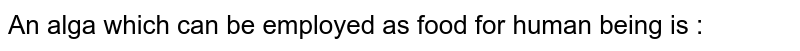 An alga which can be employed as food for human being is :