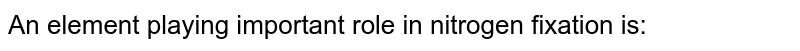 An element playing important role in nitrogen fixation is: