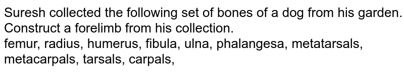 Suresh collected the following set of bones of a dog from his garden. Construct a forelimb from his collection. femur, radius, humerus, fibula, ulna, phalangesa, metatarsals, metacarpals, tarsals, carpals,