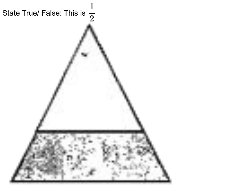 State True/ False: This is 1/2
