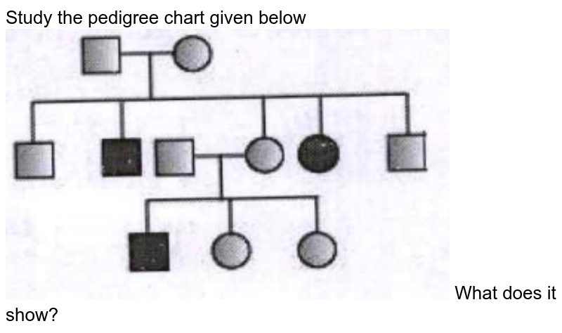 study-the-pedigree-chart