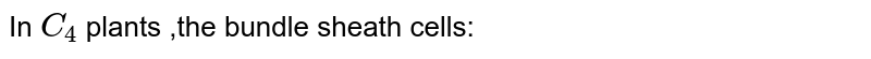 In `C_4` plants ,the bundle sheath cells: