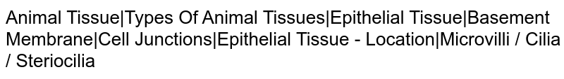 Animal Tissue|Types Of Animal Tissues|Epithelial Tissue|Basement Membrane|Cell Junctions|Epithelial Tissue - Location|Microvilli / Cilia / Steriocilia