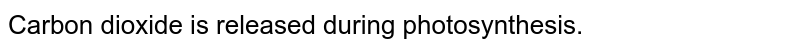 Carbon dioxide is released during photosynthesis.