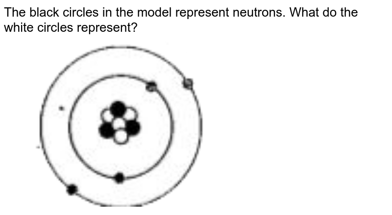 The black circles in the model represent neutrons. What do the white circles represent?