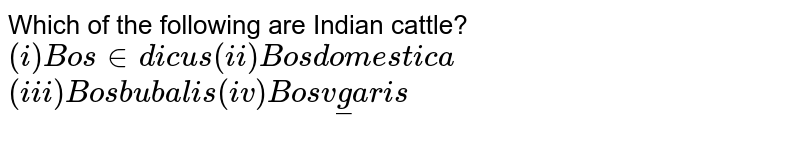 Which of the following are Indian cattle? (i) Bos indicus (ii) Bos domesticus (iii) Bos bubalis (iv) Bos vulgaris