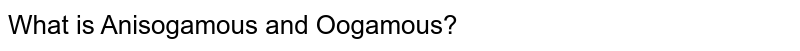What is Anisogamous and Oogamous?