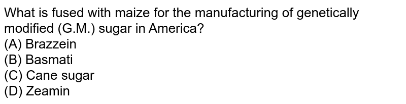 What is fused with maize for the manufacturing of genetically modified (G.M.) sugar in America?