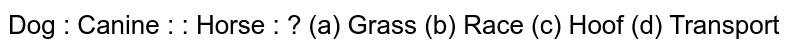 Dog : Canine : : Horse : ? (a) Grass (b) Race (c) Hoof (d) Transport