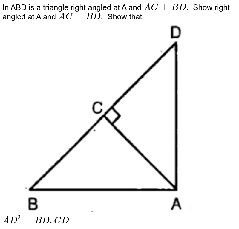In ABD is a triangle right angled at A and AC bot BD. Show right angled at A and AC bot BD. Show that AD ^(2) = BD. CD
