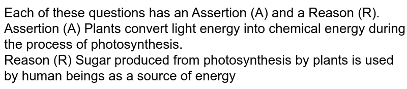 Each of these questions has an Assertion (A) and a Reason (R). Assertion (A) Plants convert light energy into chemical energy during the process of photosynthesis. Reason (R) Sugar produced from photosynthesis by plants is used by human beings as a source of energy