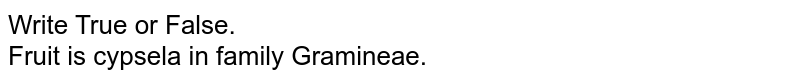 Write 'True' or 'False'. Fruit is cypsela in family Gramineae.
