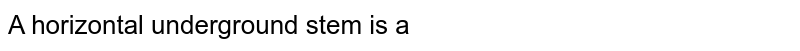 A horizontal underground stem is a