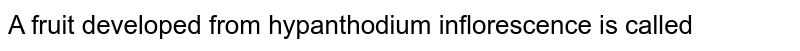 A fruit developed from hypanthodium inflorescence is called