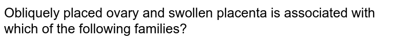 Obliquely placed ovary and swollen placenta is associated with which of the following families?