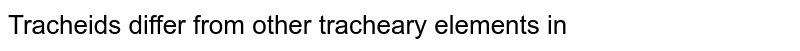 Tracheids differ from other tracheary elements in