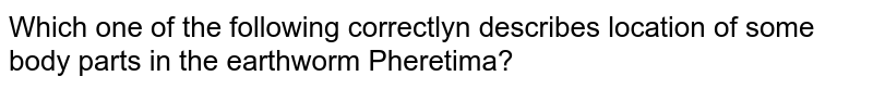 Which one of the following correctlyn describes location of some body parts in the earthworm Pheretima?