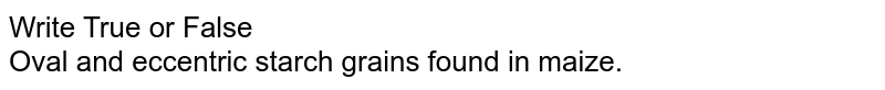 Write " True" or "False" Oval and eccentric starch grains found in maize.