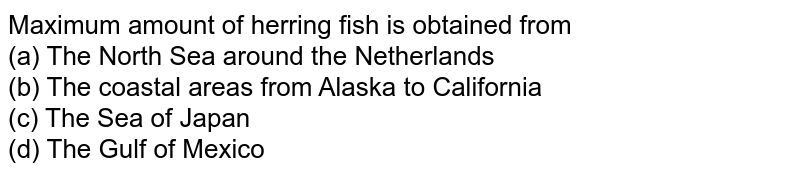 Maximum amount of herring fish is obtained from (a) The North Sea around the Netherlands (b) The coastal areas from Alaska to California (c) The Sea of Japan (d) The Gulf of Mexico