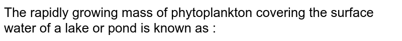 The rapidly growing mass of phytoplankton covering the surface water of a lake or pond is known as :