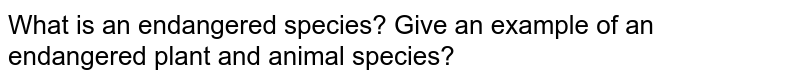 What is an endangered species? Give an example of an endangered plant and animal species?