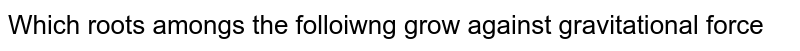 Which roots amongs the folloiwng grow against gravitational force