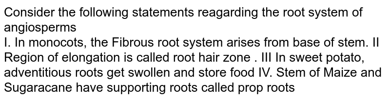 Consider the following statements reagarding the root system of angiosperms I. In monocots, the Fibrous root system arises from base of stem. II Region of elongation is called root hair zone . III In sweet potato, adventitious roots get swollen and store food IV. Stem of Maize and Sugaracane have supporting roots called prop roots