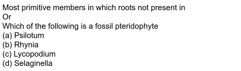 Most primitive members in which roots not present in Or Which of the following is a fossil pteridophyte (a) Psilotum (b) Rhynia (c) Lycopodium (d) Selaginella