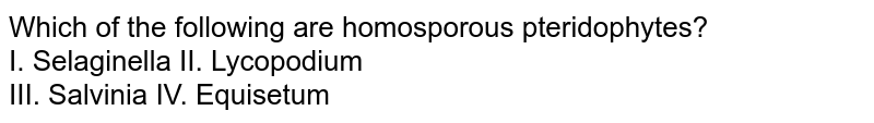 Which of the following are homosporous pteridophytes? I. Selaginella II. Lycopodium III. Salvinia IV. Equisetum