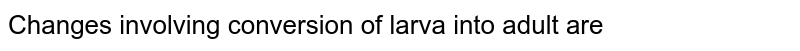 Changes involving conversion of larva into adult are