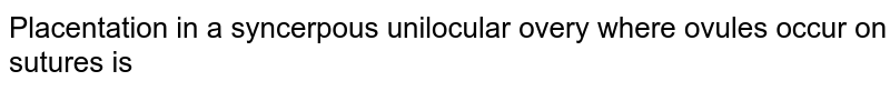 The type of placentation in which ovary is syncarpous unilocular and ovules on sutures is called
