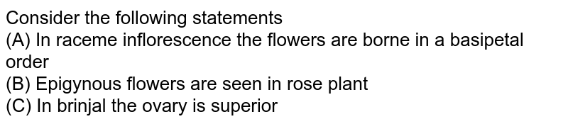 Consider the following statements (A) In raceme inflorescence the flowers are borne in a basipetal order (B) Epigynous flowers are seen in rose plant (C) In brinjal the ovary is superior