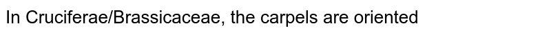 In Cruciferae/Brassicaceae, the carpels are oriented