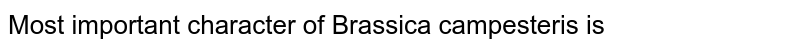 Most important character of Brassica campesteris is