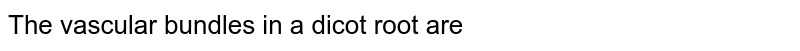 The vascular bundles in a dicot root are