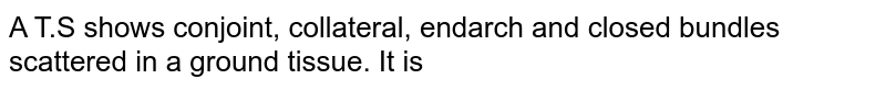 A T.S shows conjoint, collateral, endarch and closed bundles scattered in a ground tissue. It is