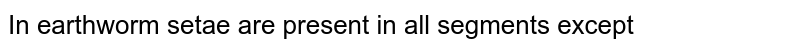 In earthworm setae are present in all segments except