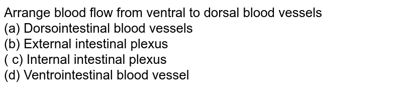 Arrange blood flow from ventral to dorsal blood vessels (a) Dorsointestinal blood vessels (b) External intestinal plexus ( c) Internal intestinal plexus (d) Ventrointestinal blood vessel