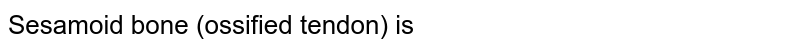 Sesamoid bone (ossified tendon) is