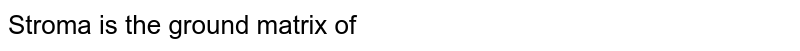 Stroma is the ground matrix of