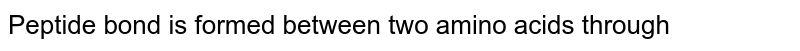 Peptide bond is formed between two amino acids through