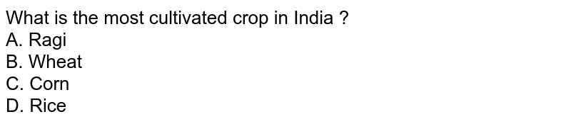 What is the most cultivated crop in India ? A. Ragi B. Wheat C. Corn D. Rice