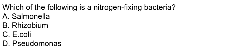 Which of the following is a nitrogen-fixing bacteria? A. Salmonella B. Rhizobium C. E.coli D. Pseudomonas