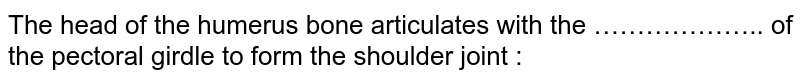 The head of the humerus bone articulates with the ……………….. of the pectoral girdle to form the shoulder joint :