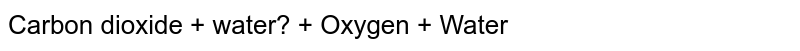 Carbon dioxide + water? + Oxygen + Water
