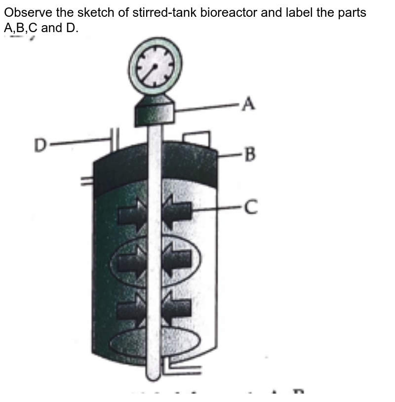 Draw a labelled sketch of sparged stirredtank bioreactor. Write